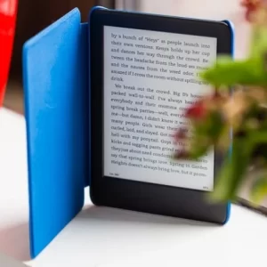 Time to earn in Dollars: Learn how to Create and Sell eBooks online